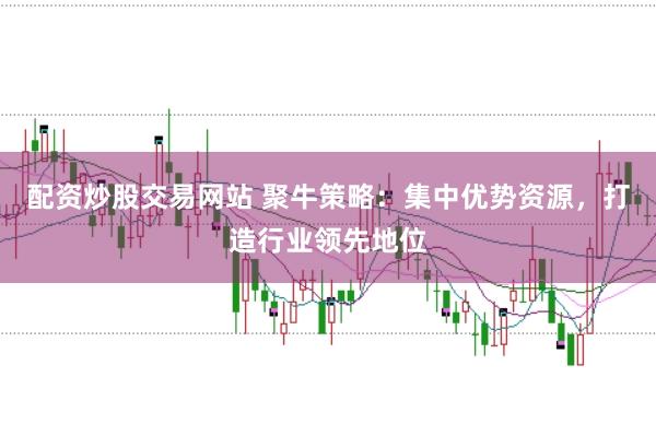 配资炒股交易网站 聚牛策略：集中优势资源，打造行业领先地位