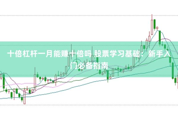 十倍杠杆一月能赚十倍吗 股票学习基础：新手入门必备指南