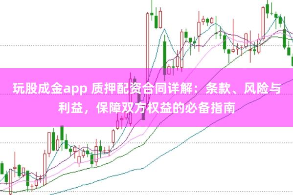 玩股成金app 质押配资合同详解：条款、风险与利益，保障双方权益的必备指南