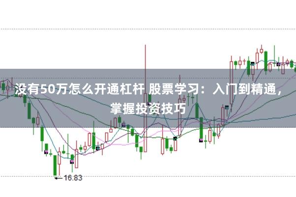 没有50万怎么开通杠杆 股票学习：入门到精通，掌握投资技巧