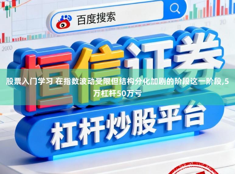 股票入门学习 在指数波动受限但结构分化加剧的阶段这一阶段,5万杠杆50万亏